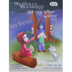 My Guru’s Blessings ਮੇਰੇ ਗੁਰੂ ਦੀਆਂ ਅਸੀਸਾਂ -6