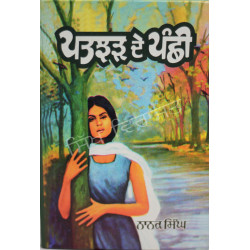Patjhad De Panchi