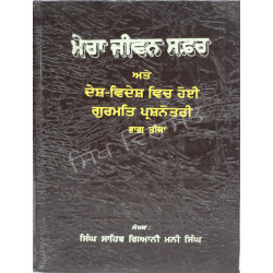 Mera Jeevan Safar Sanchi 3